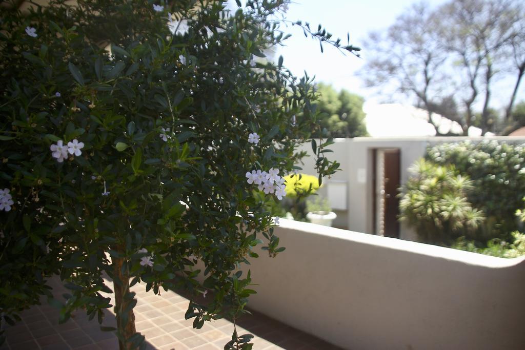 Melville Manor Guest House Γιοχάνεσμπουργκ Εξωτερικό φωτογραφία