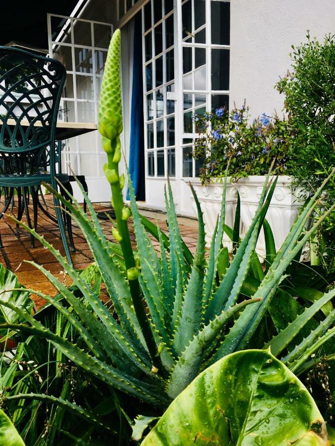 Melville Manor Guest House Γιοχάνεσμπουργκ Εξωτερικό φωτογραφία
